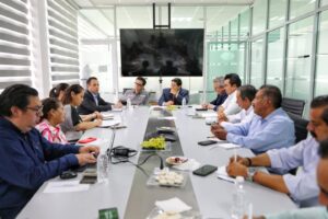 TUEMSA y Grupo Frisco - Minera Tayahua