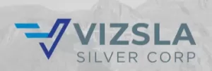 Vizsla