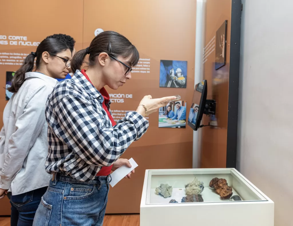 Peñoles. Comité Educativo