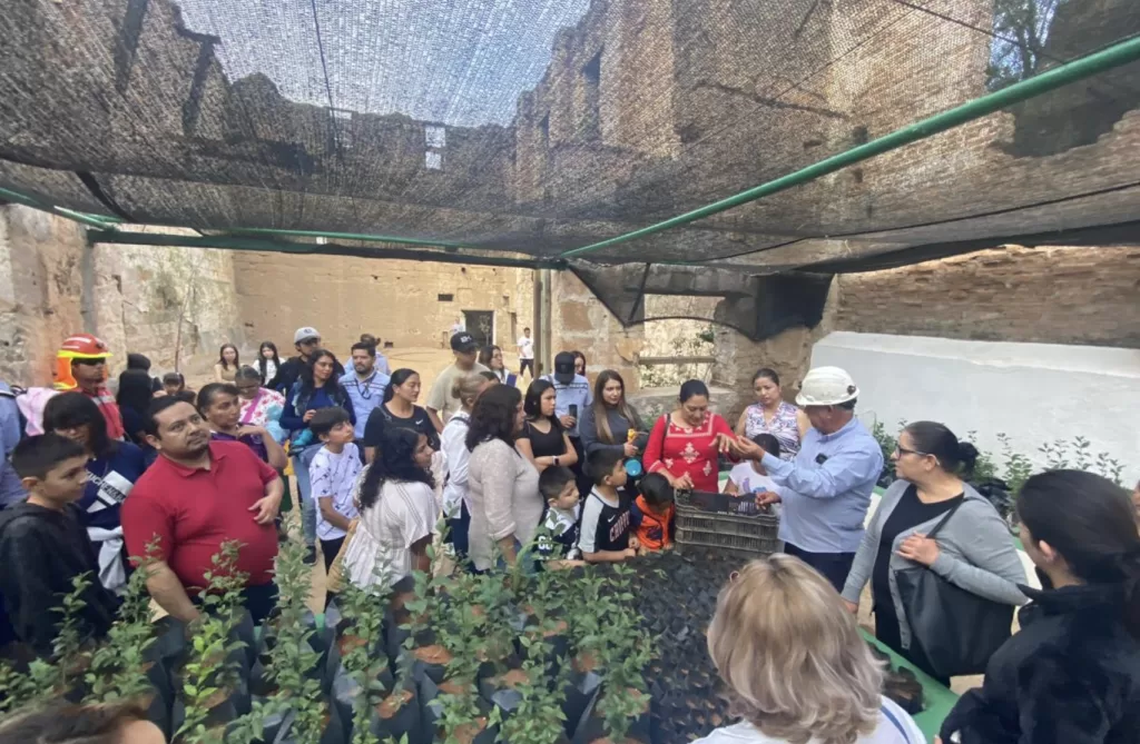 Peñoles. Solidaridad