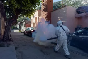 Peñoles. Fumigación